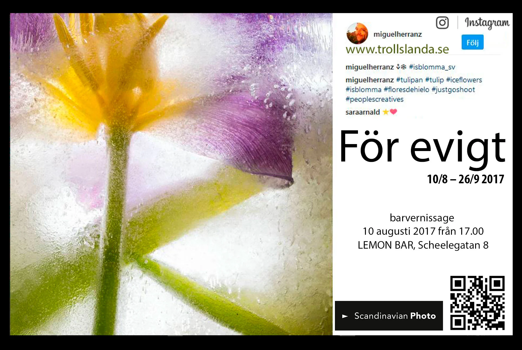 är blommans doft, färg, form dess röst? Talar blommorna till oss?