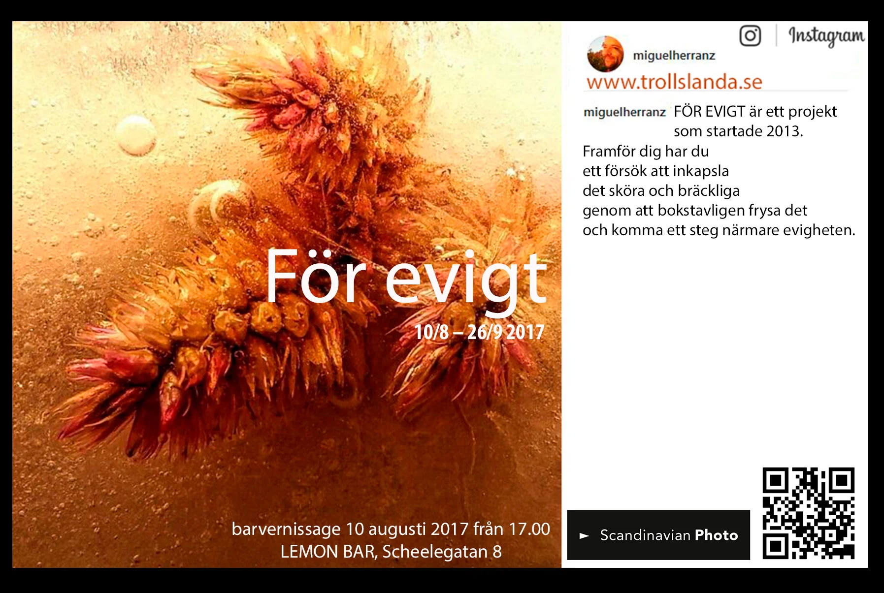 blommans förgänglighet, dess skörhet och doft, allt inkapslas av isen