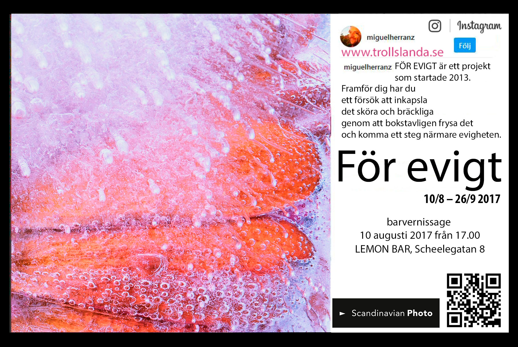 utställningssidan kommer att uppdateras, med mer tankar och funderingar, samt blommornas namn