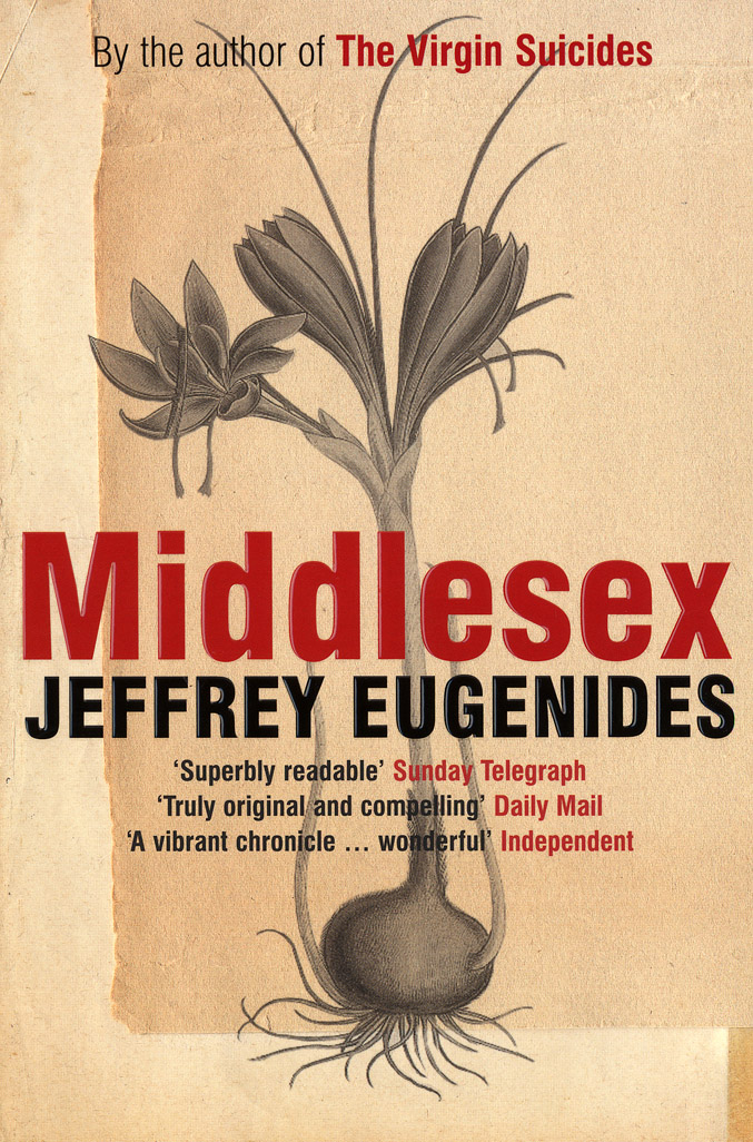 middle.jpg