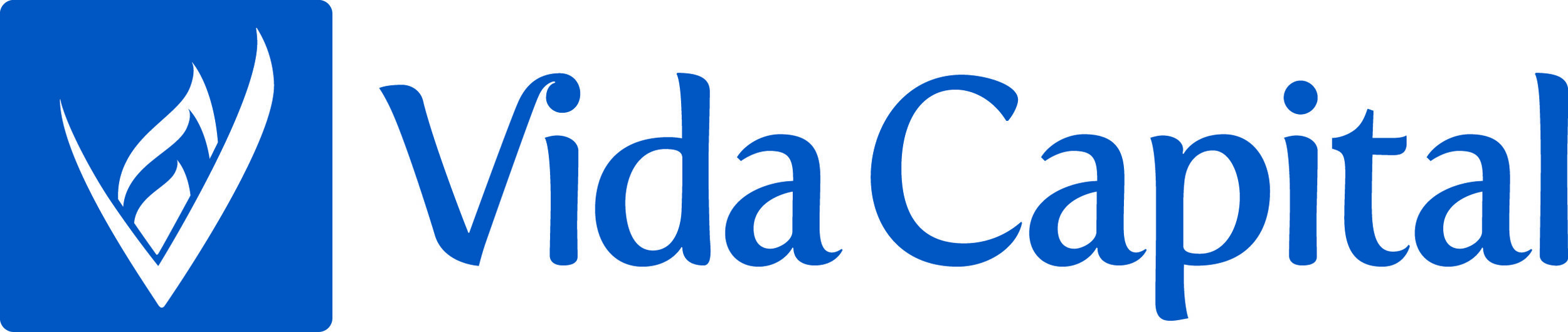 Vida_FinalLogo_1_22_blue.jpg