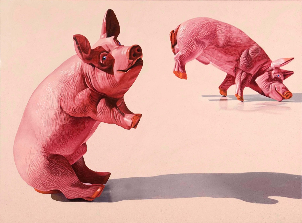 Pigs