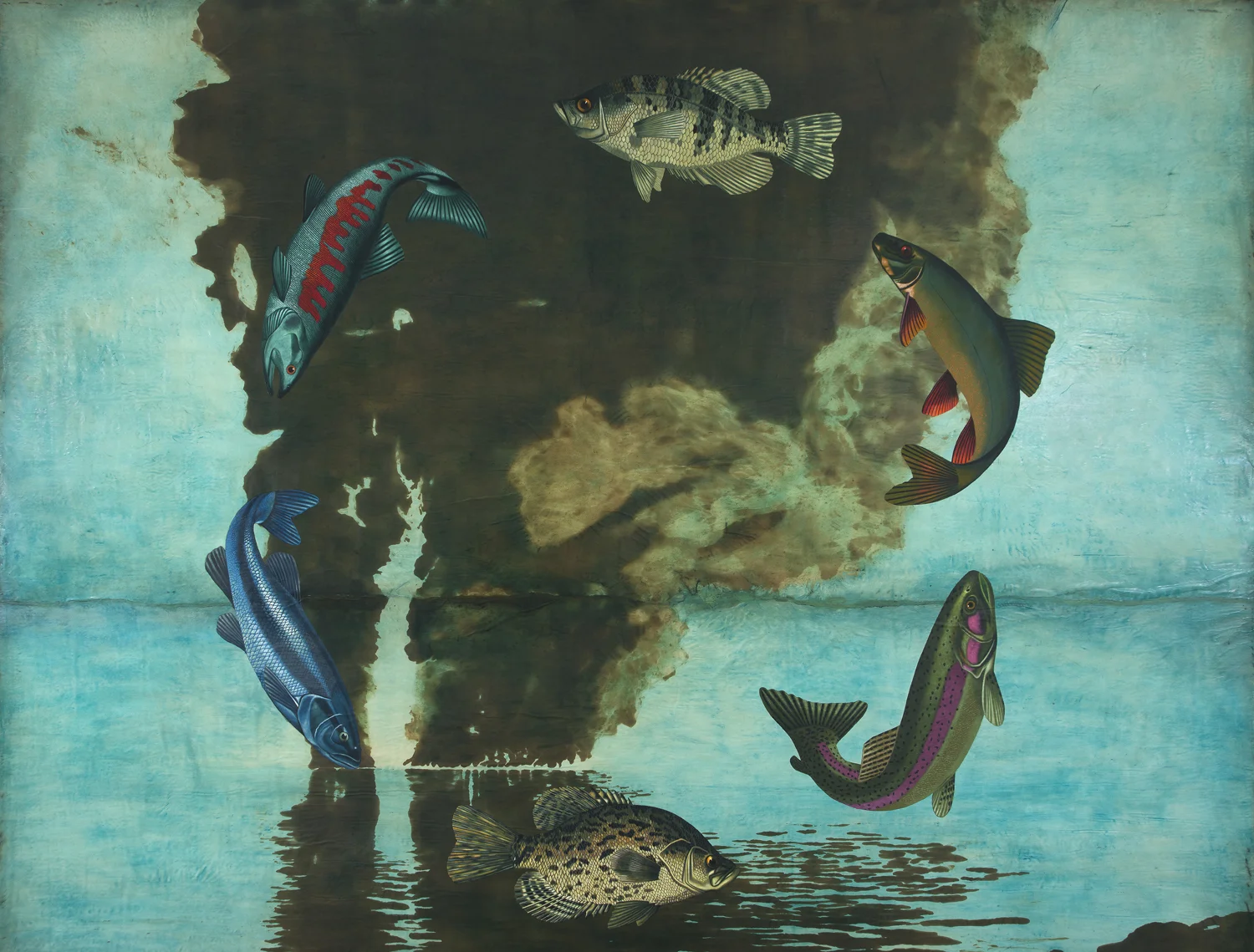 If Fish Could Fly...