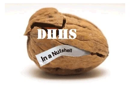 nutshell.jpg