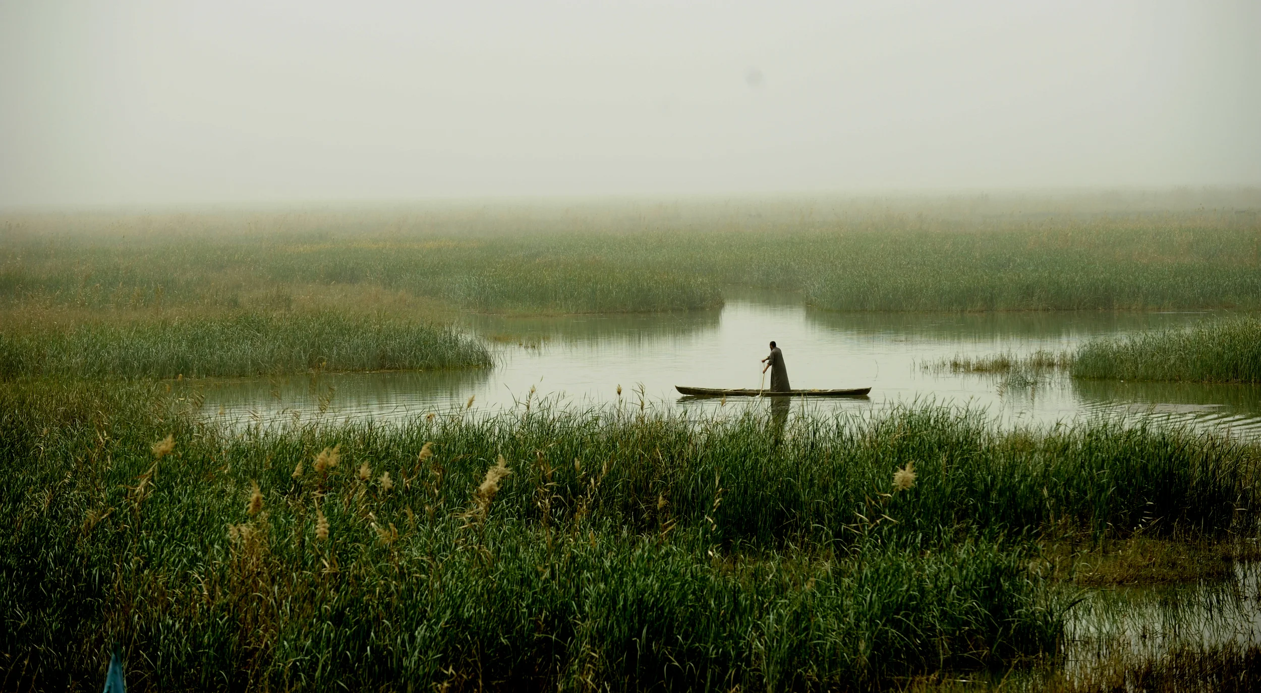 Eden Restored: The Mesopotamian Marshes of Iraq by Esme Allen, a review by Sammy Simpson