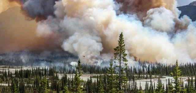 Sara Lindström, Wildfire, 2015, Canada