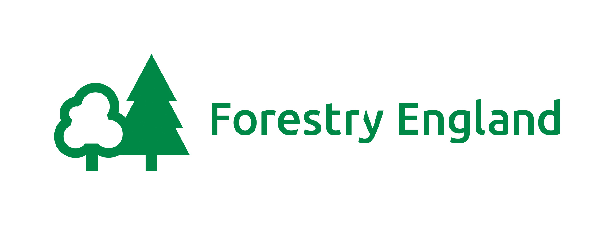 FE digital logos_FE_Primary_Logo_Green.jpg