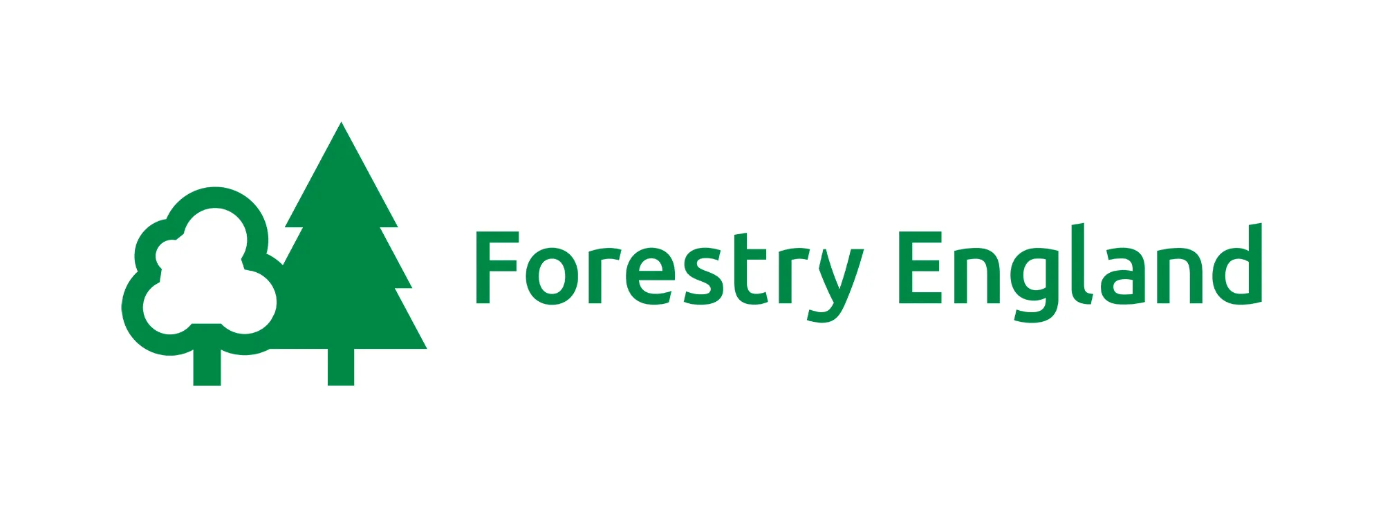 FE digital logos_FE_Primary_Logo_Green.jpg