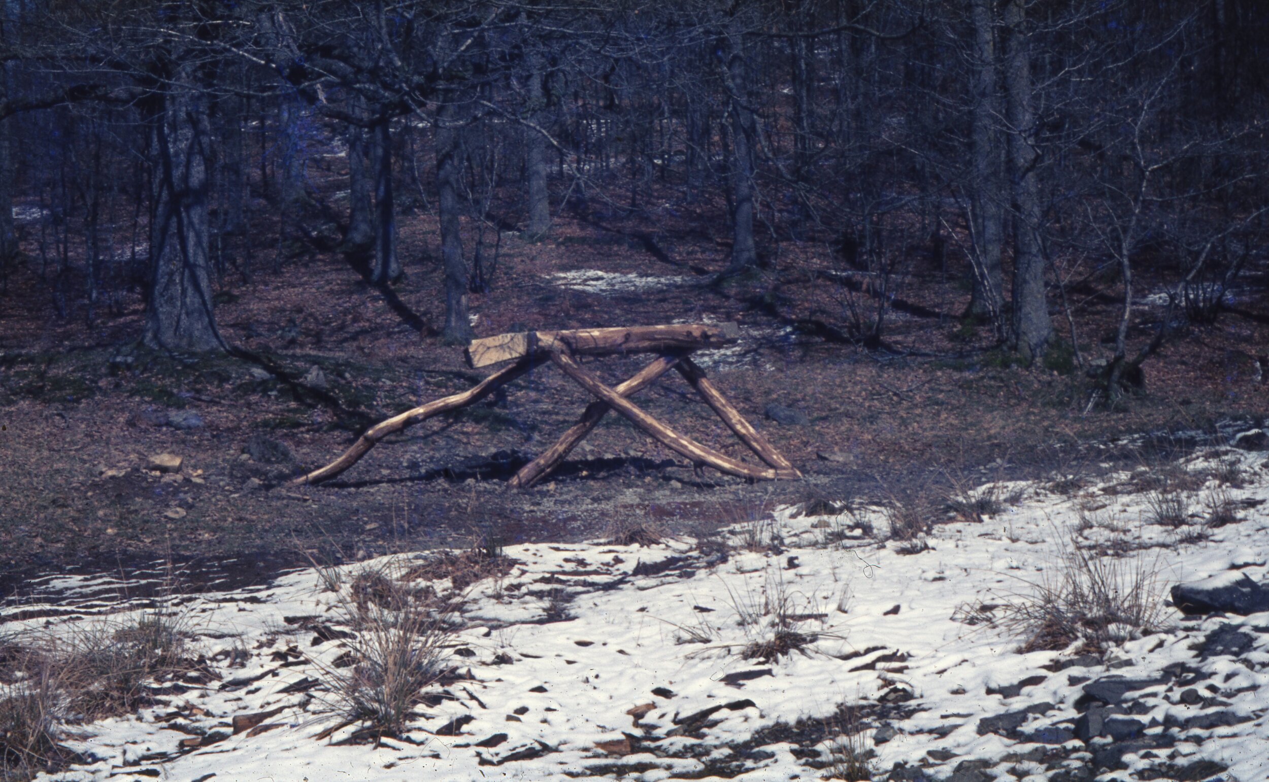 Running Table I, Grizedale 1978, 78DN05.jpg