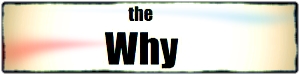 the why.jpeg
