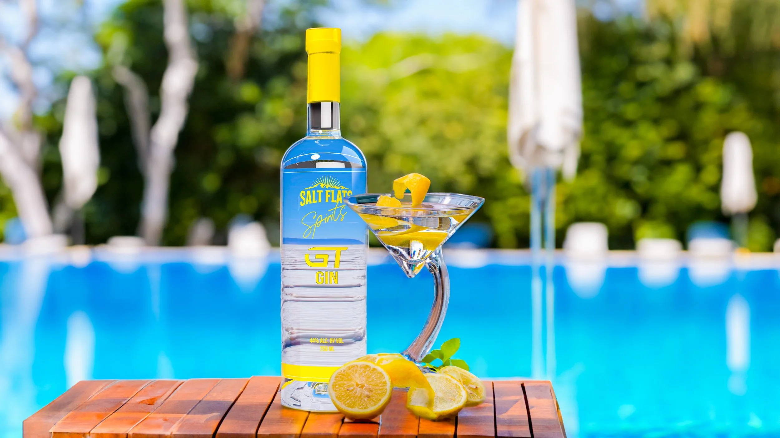 GIN martini pool copy.JPG