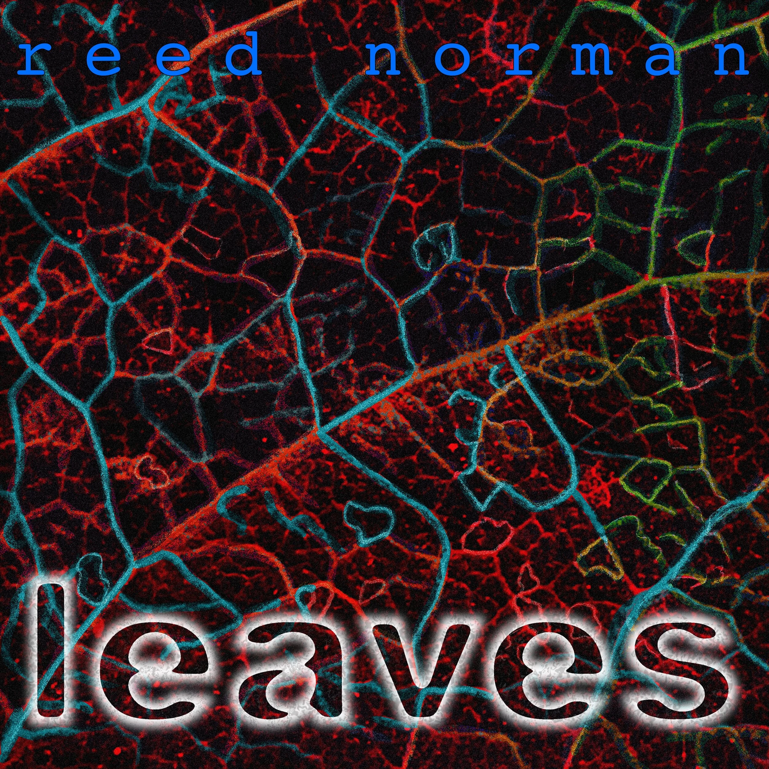 leaves(cover).jpg