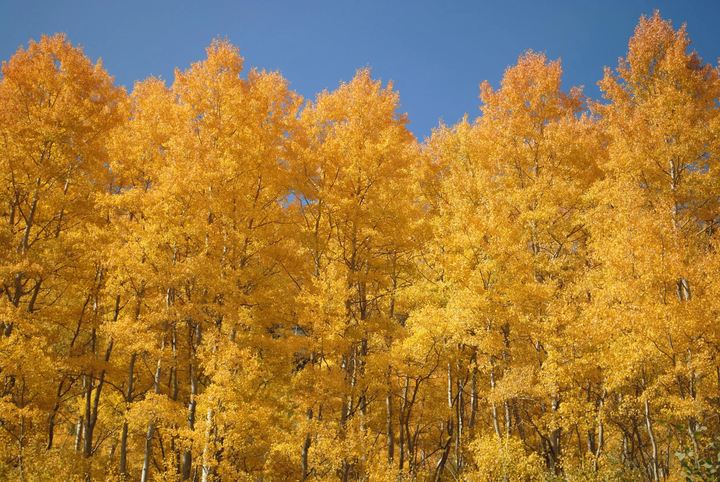 Back to Basics and Beyond!