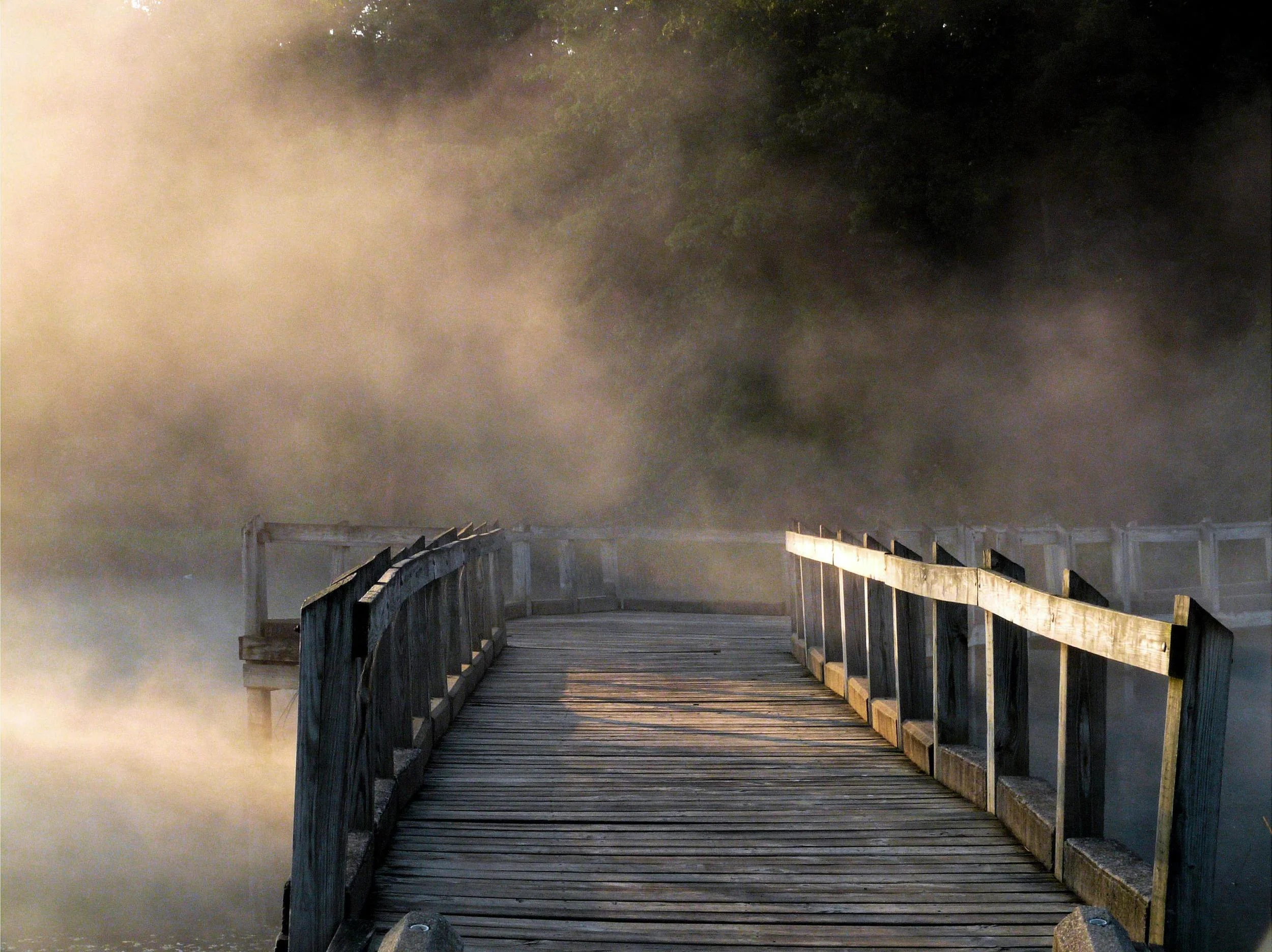 Joy Tip Wednesday:  Do What You Feel