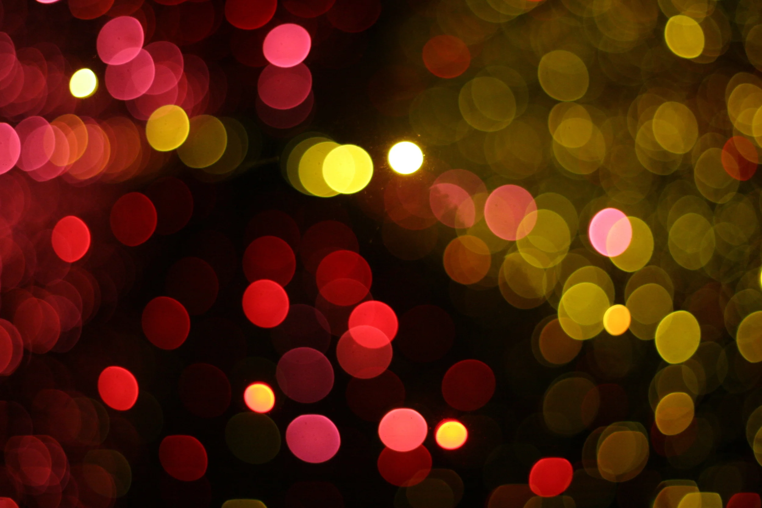 Embracing the Mystery