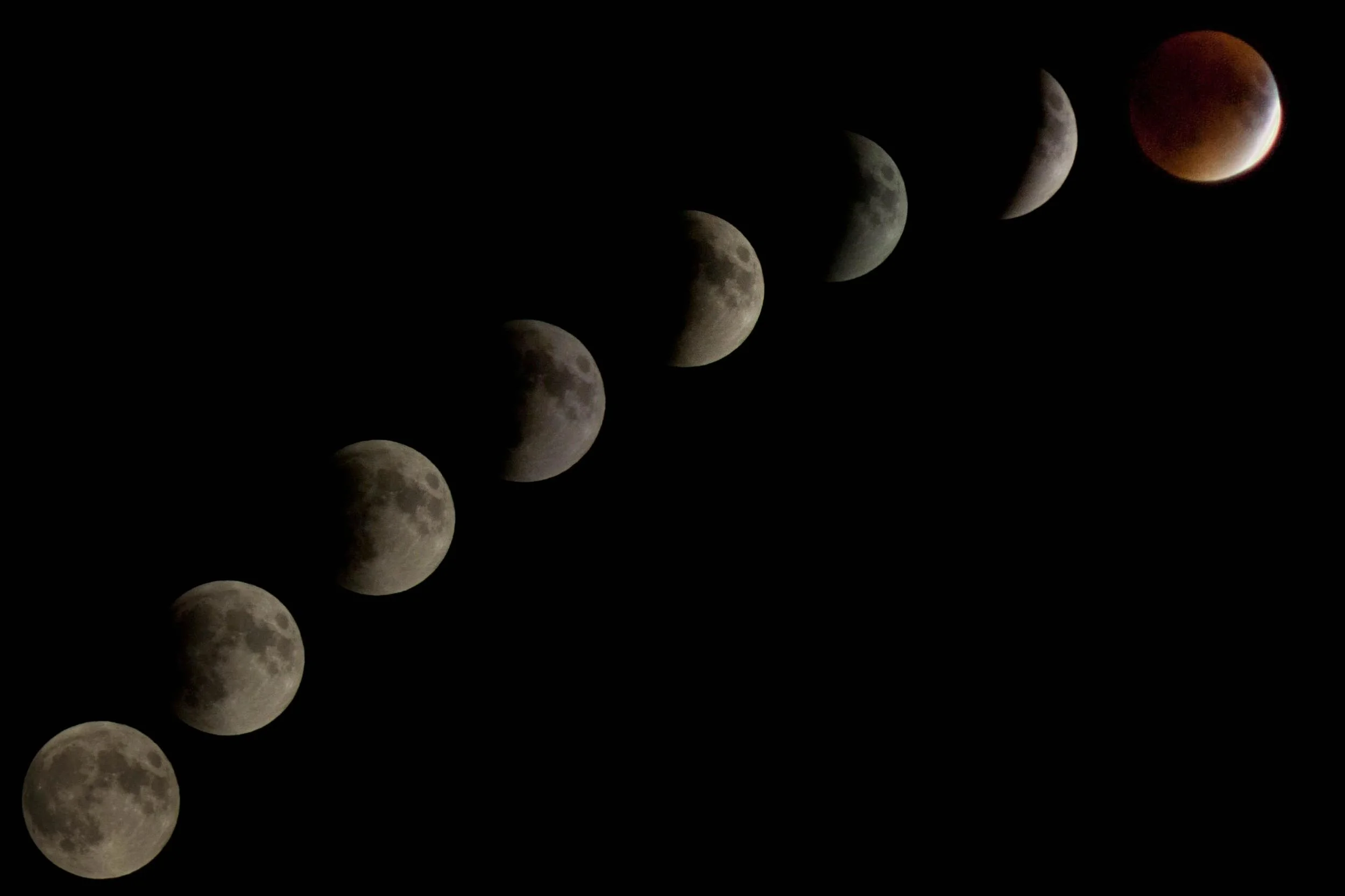 Joy Tip Wednesday:  Dedication + Discipline = Change