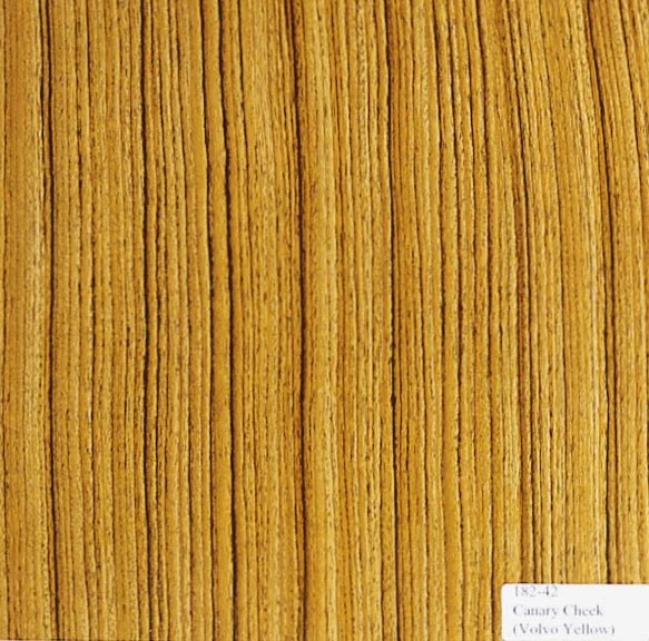 Canary-Cheek---Volvo-Yellow.jpg