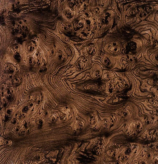 Raudy-Burl---Advantage.jpg