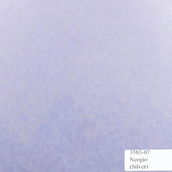 Neogio---Silver.jpg