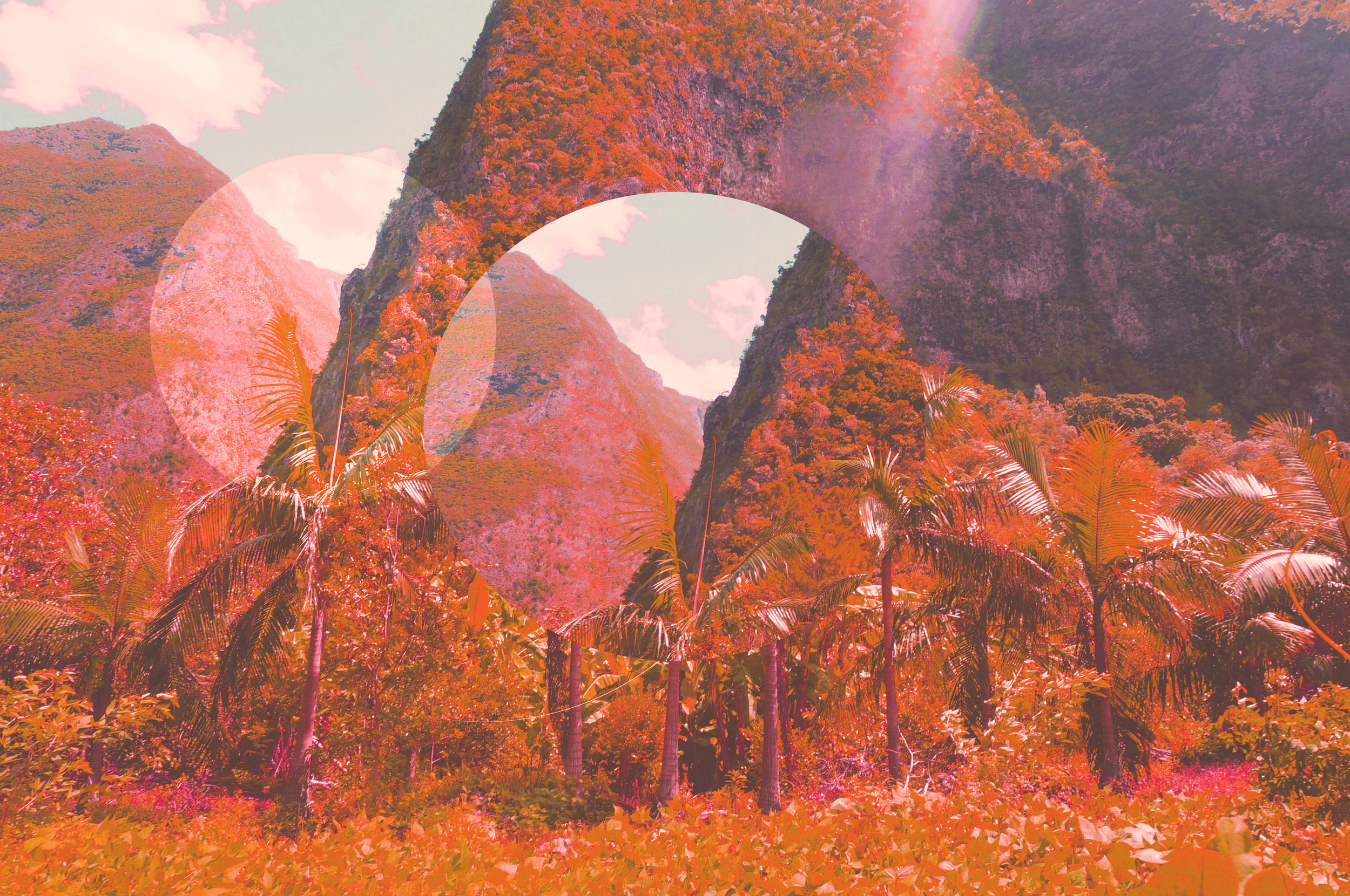 Orange Paradise 01 (For Sale here: http://www.early-work.com/en/find-art/378-orange-paradise-01.html)