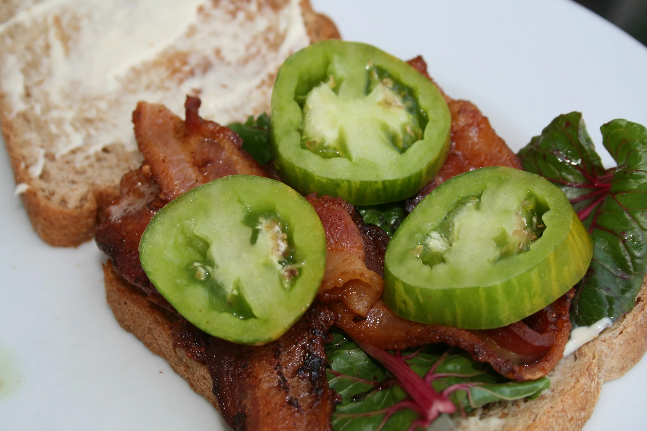 BLT with "Green Zebra" heirloom tomato and Five Color Silverbeet Swiss Chard.