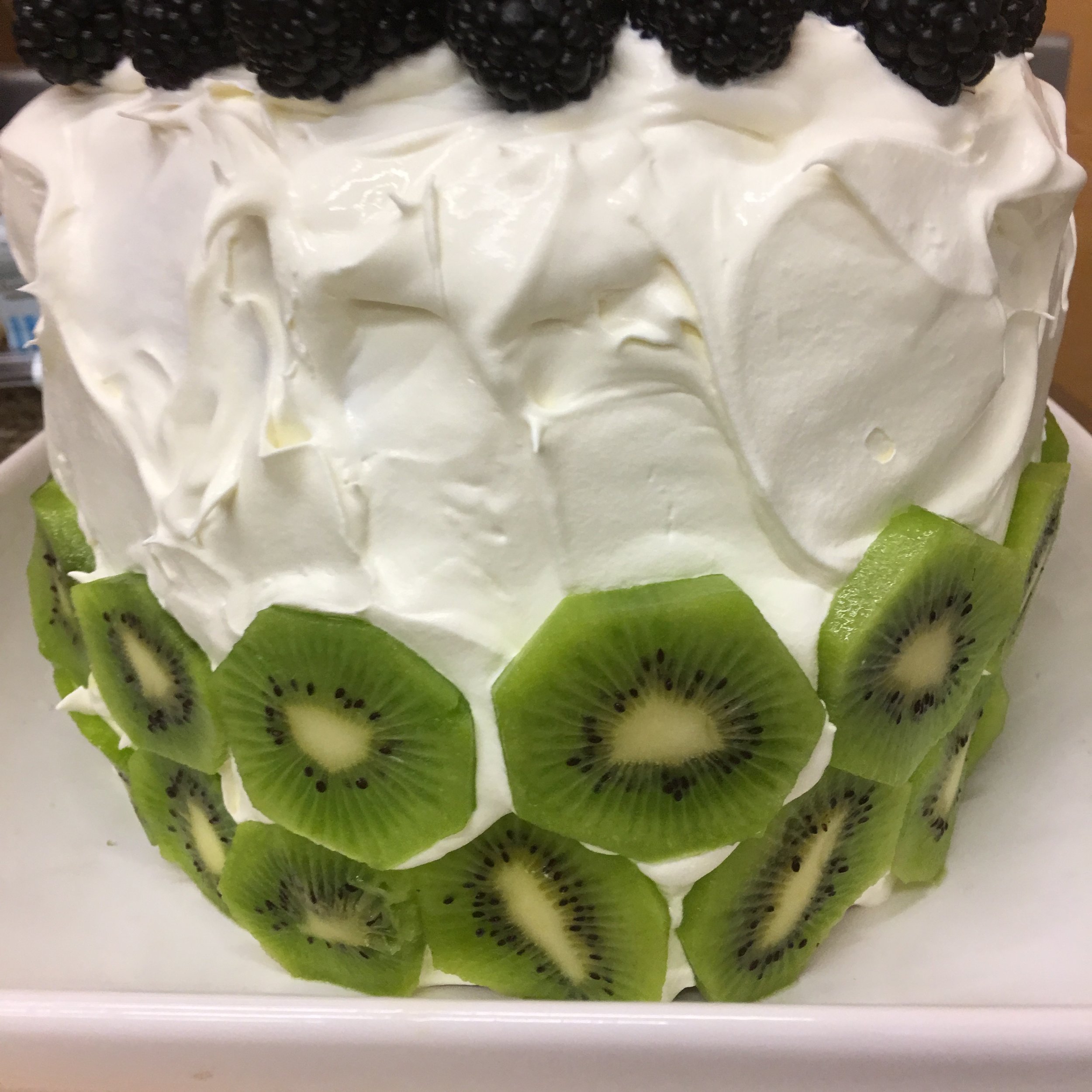 Watermelon cake 3.jpeg