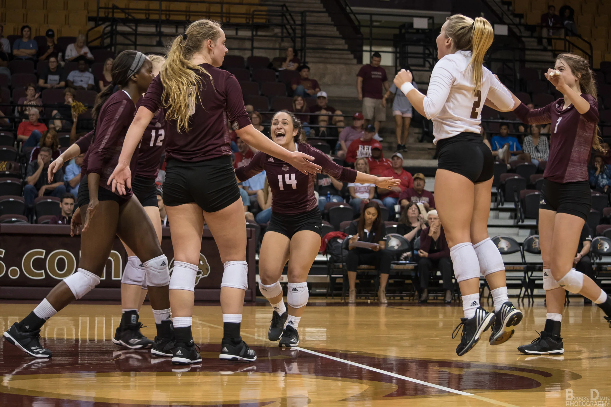 p17-334-volleyball-vs-arkansas-state3_wm.jpg