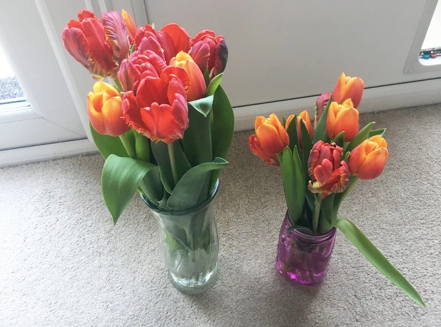 poppies and tuplis.jpg