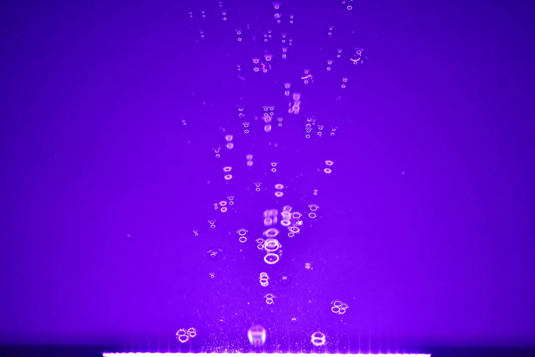 7. Detail Bubble.jpg