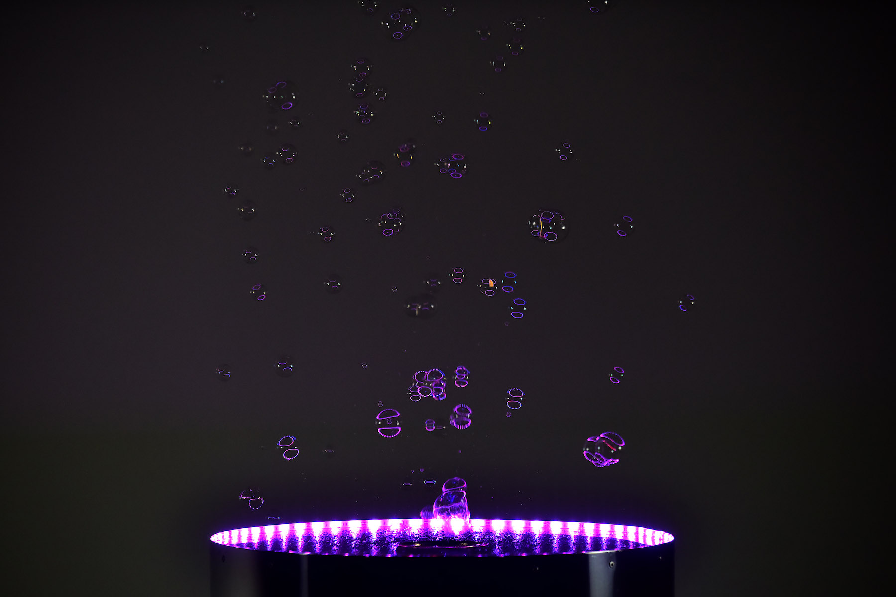 3. Detail Bubble.jpg