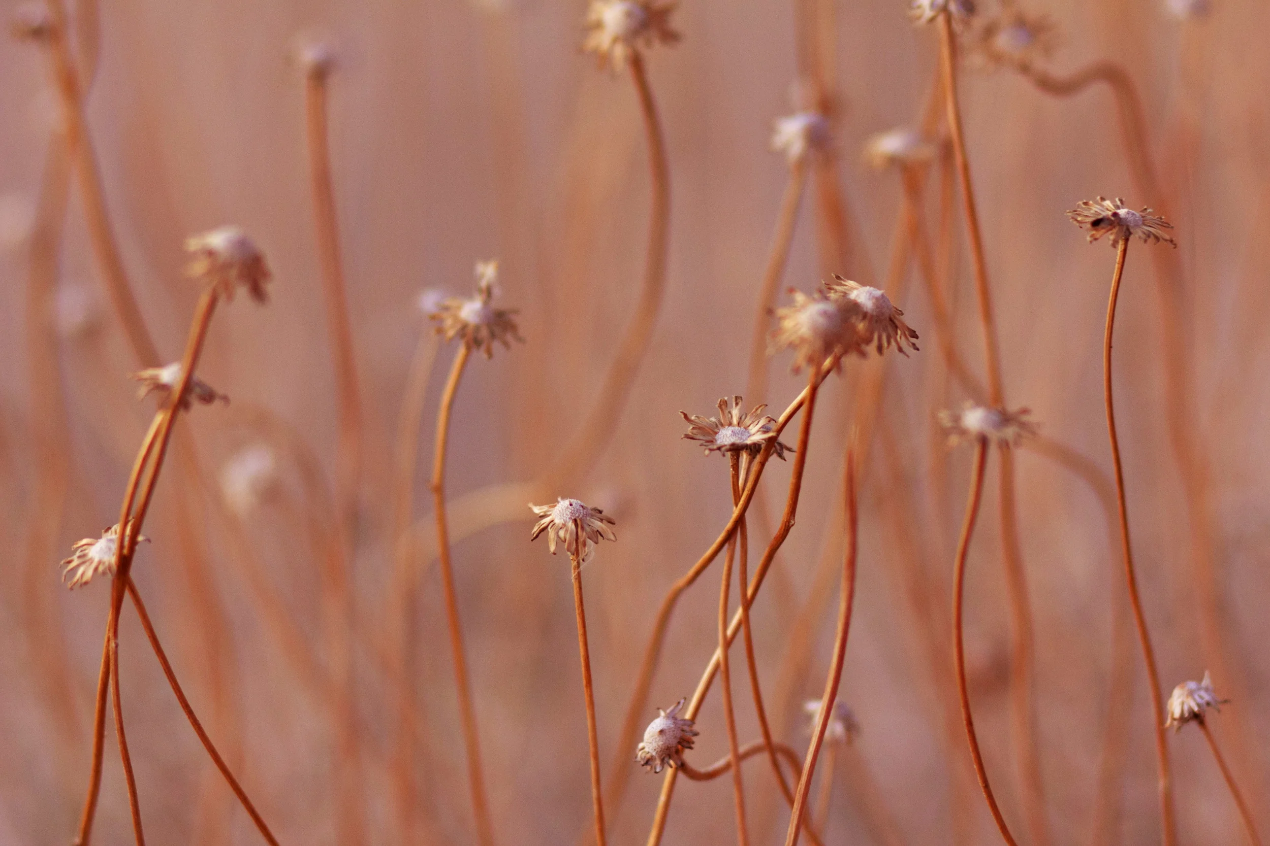 Photo: Michael Spotts. Purchase print »