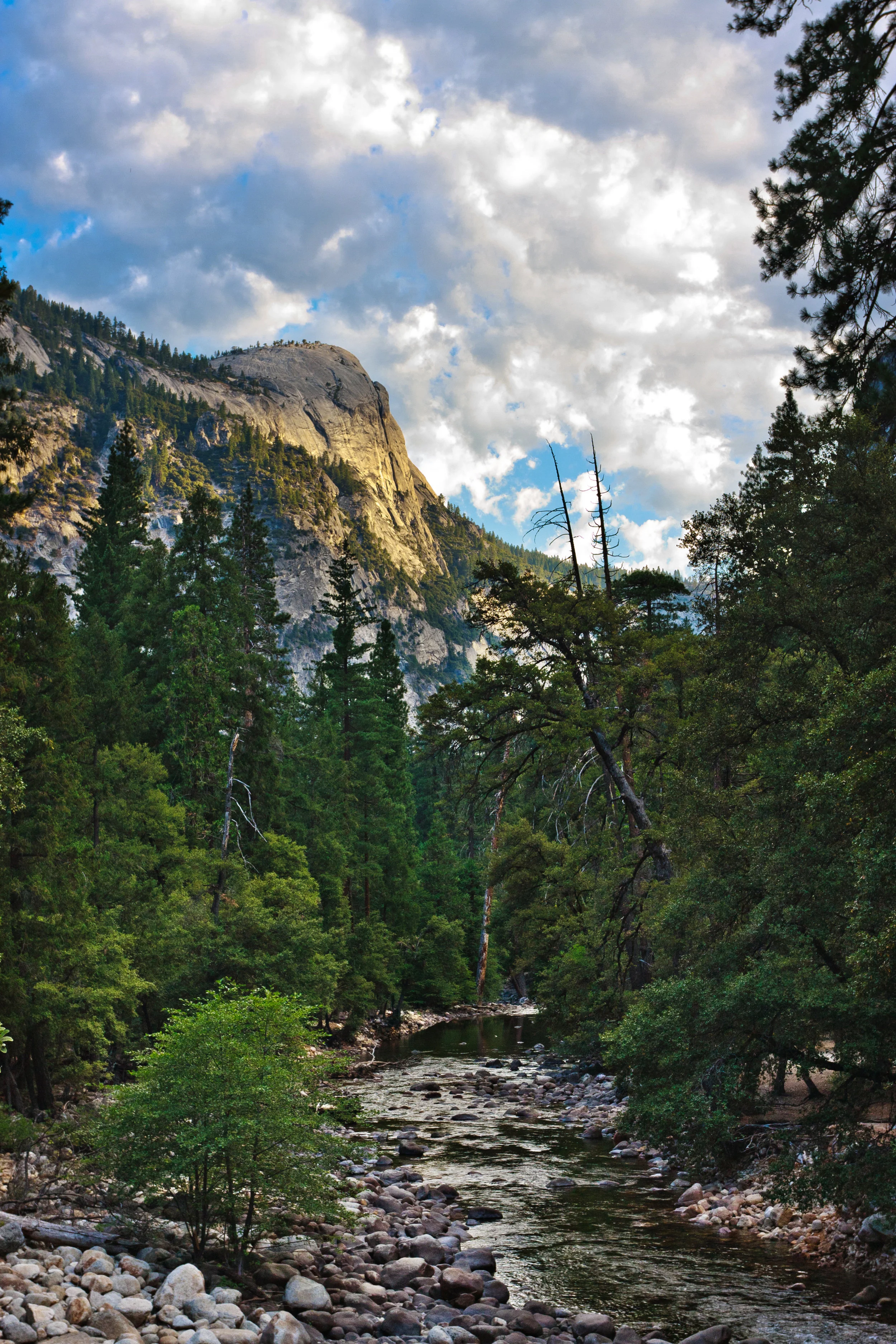 mountain and stream in Yosemite California