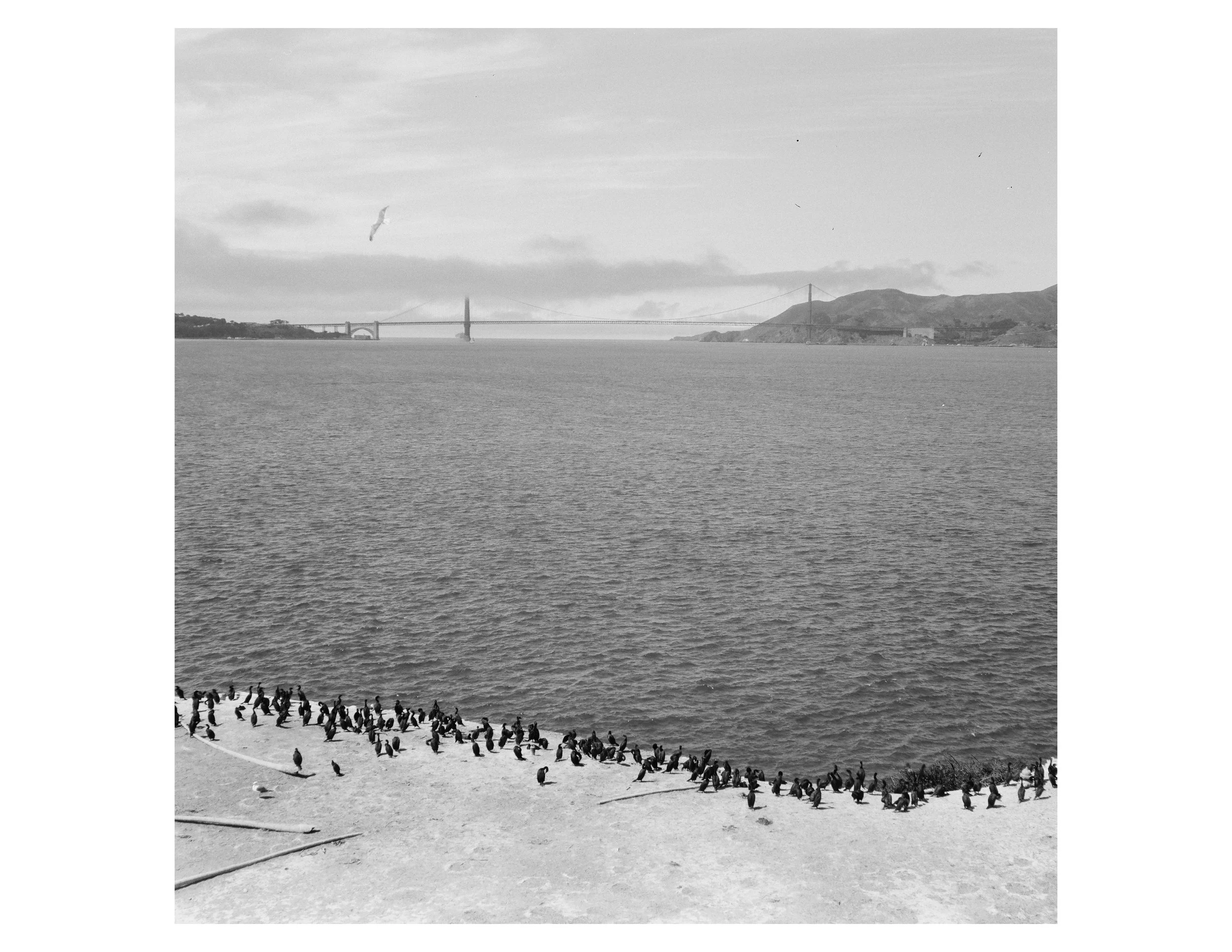 alcatraz 2.jpg