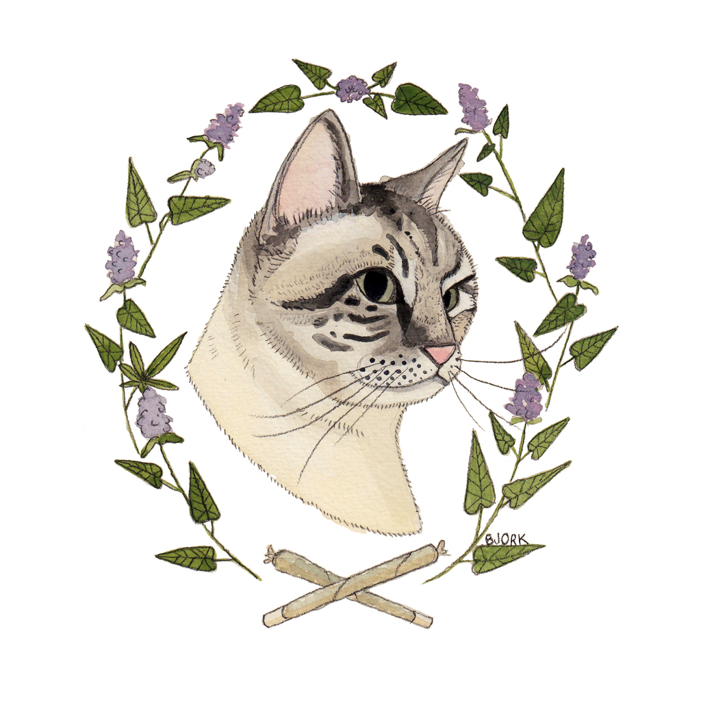 Jazzy J , 6 x 8 inches, gouache + graphite on paper, 2014