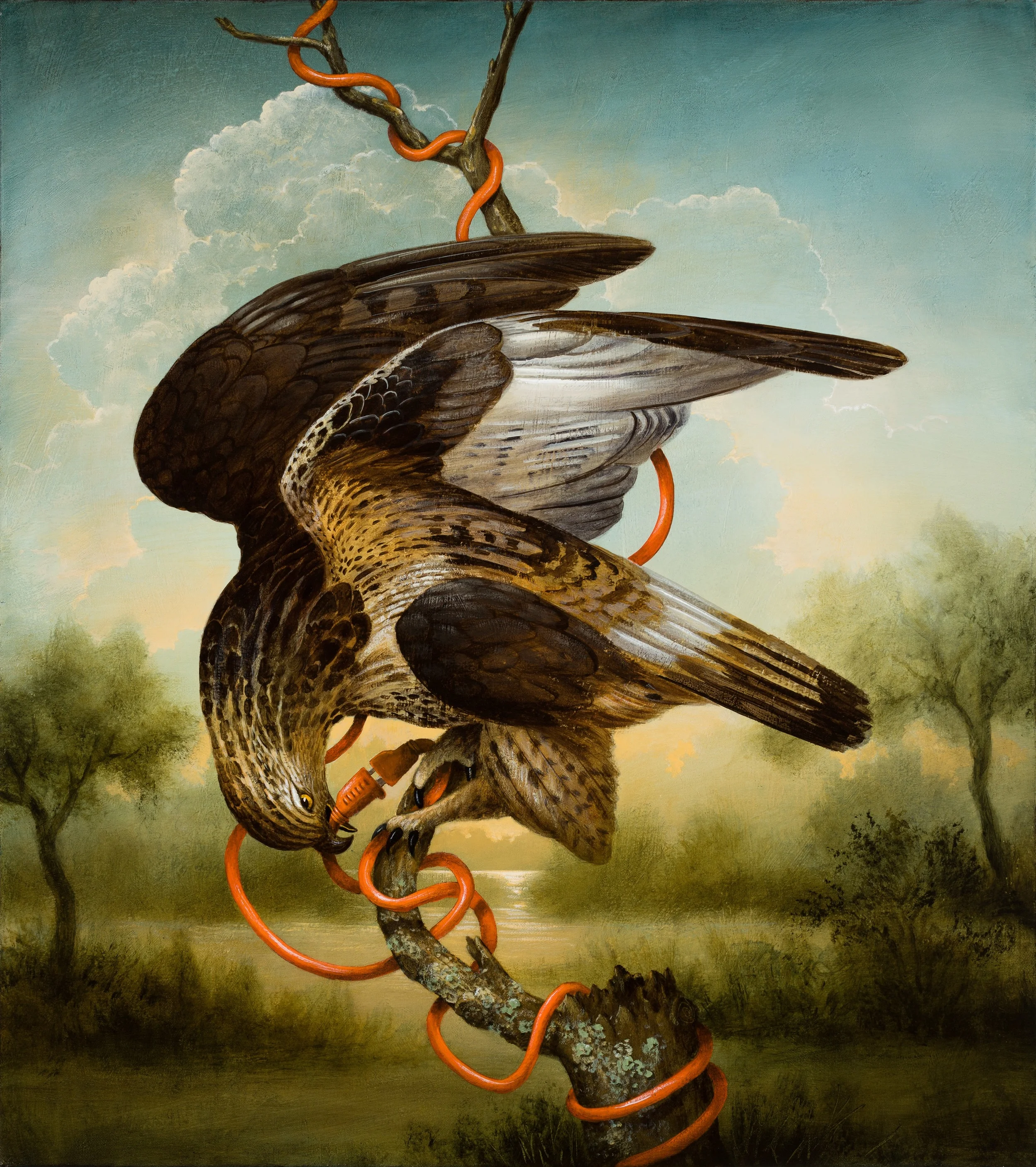 Birds of America - Prometheus' Regret