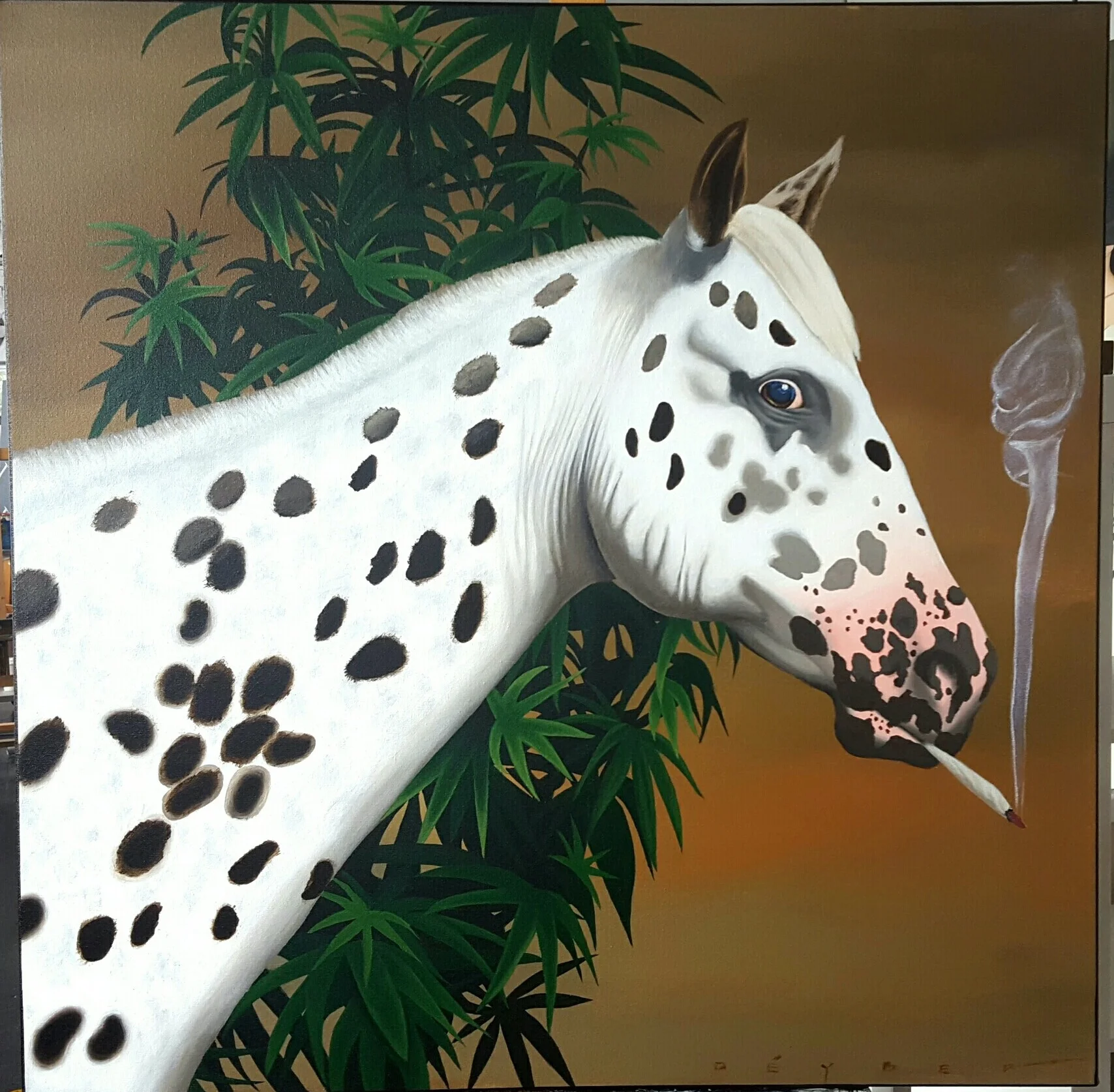 Your High Horse