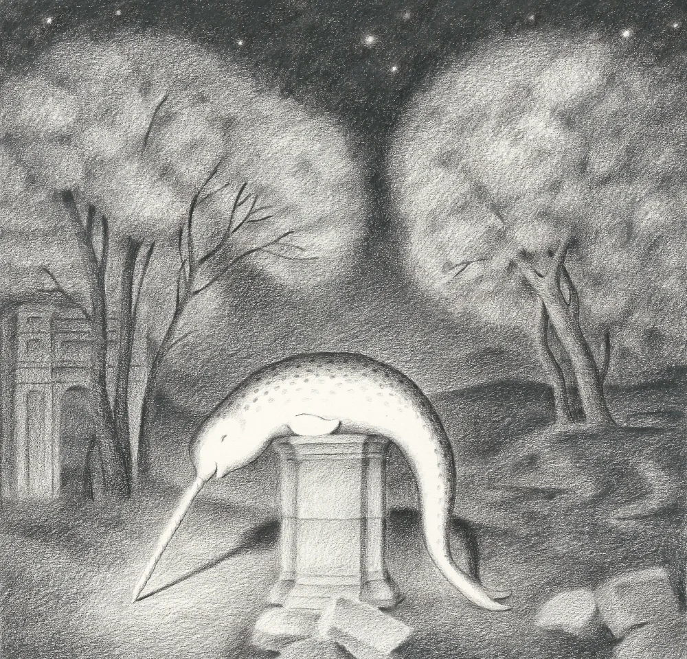 night narwhal 1000.jpg
