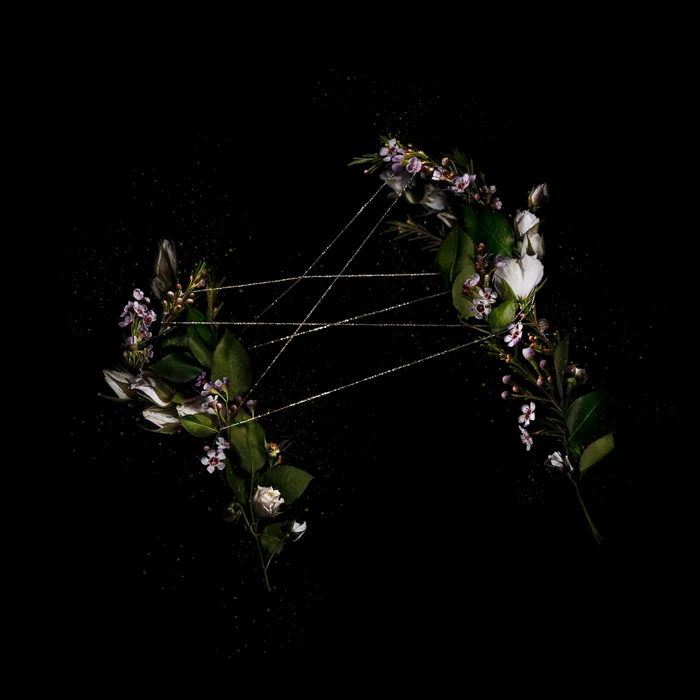 CatsCradle.jpg