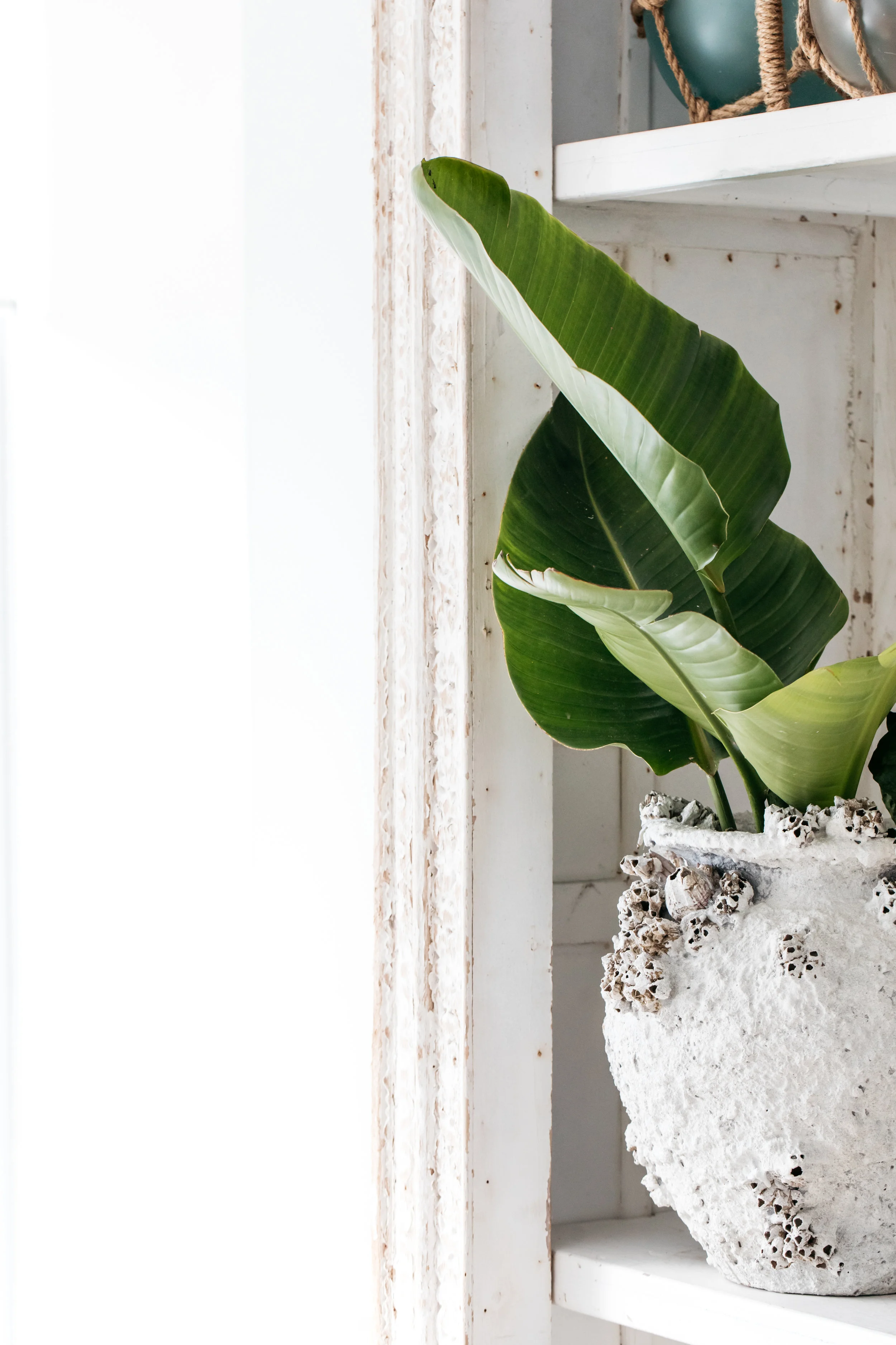 The Boathouse Home: How to style your living room