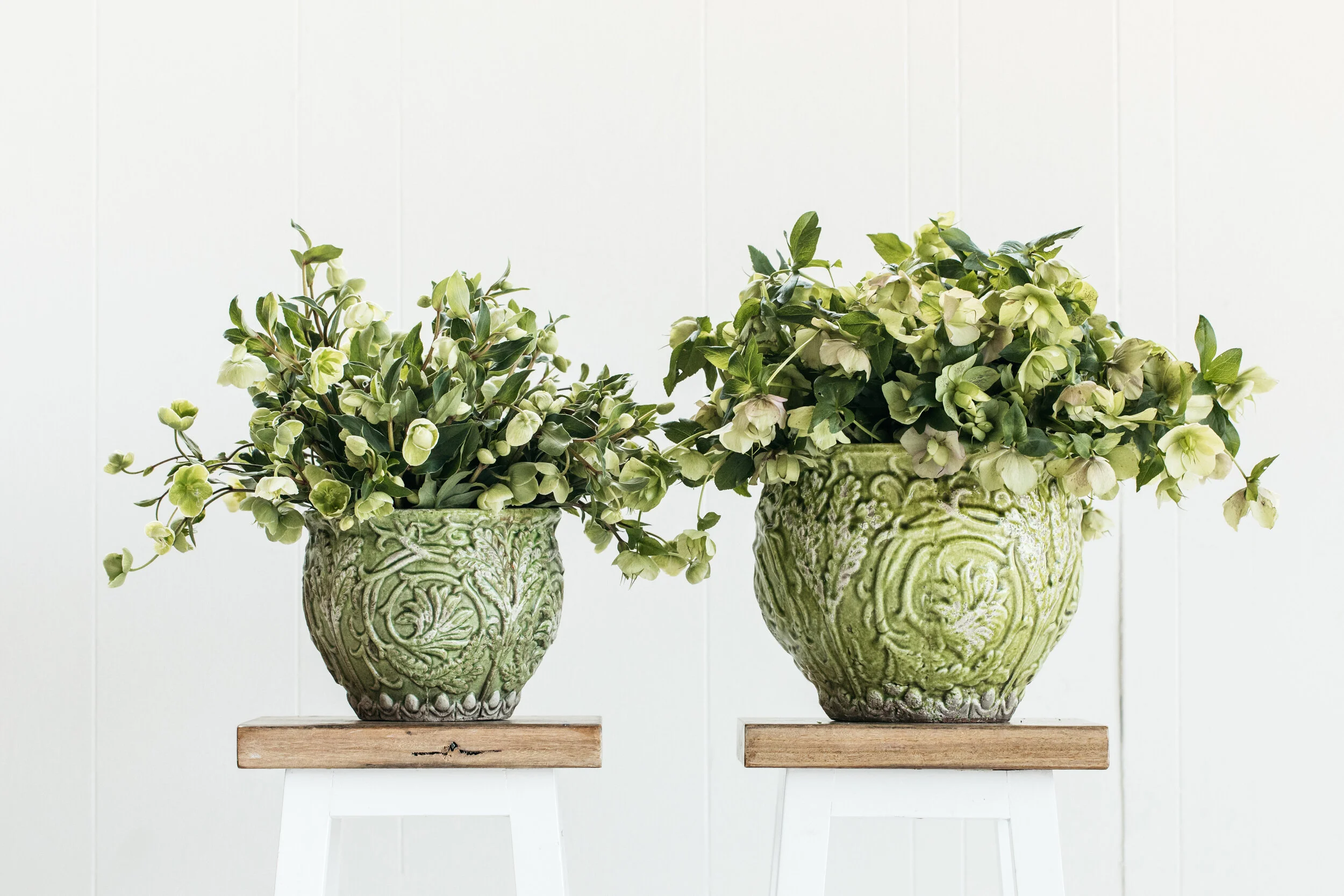BH - Flowers - 14 (1).jpg