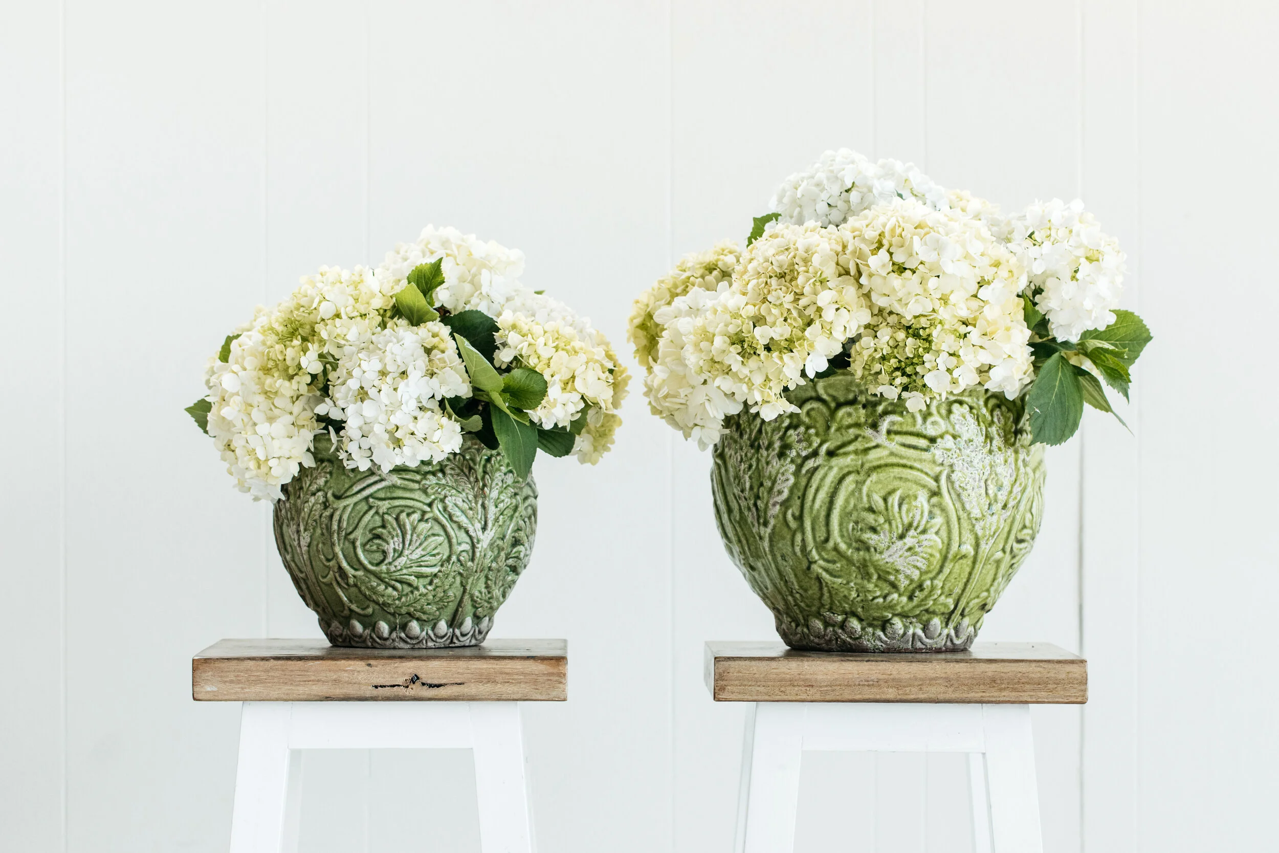 BH - Flowers - 6.jpg