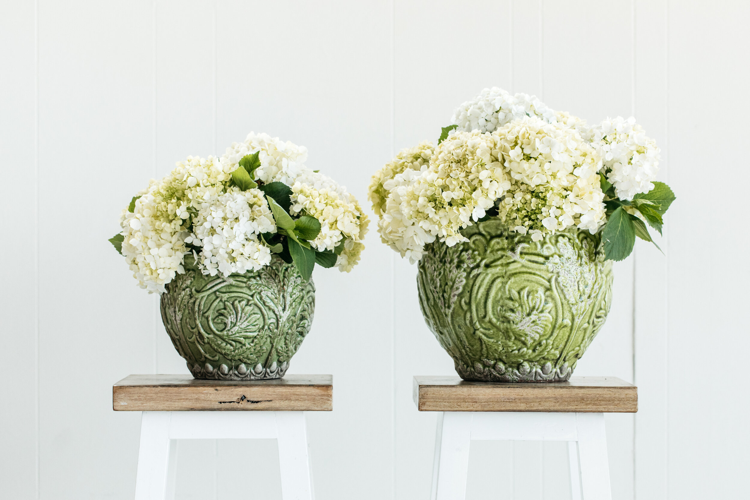 GREEN + WHITE FLOWERS