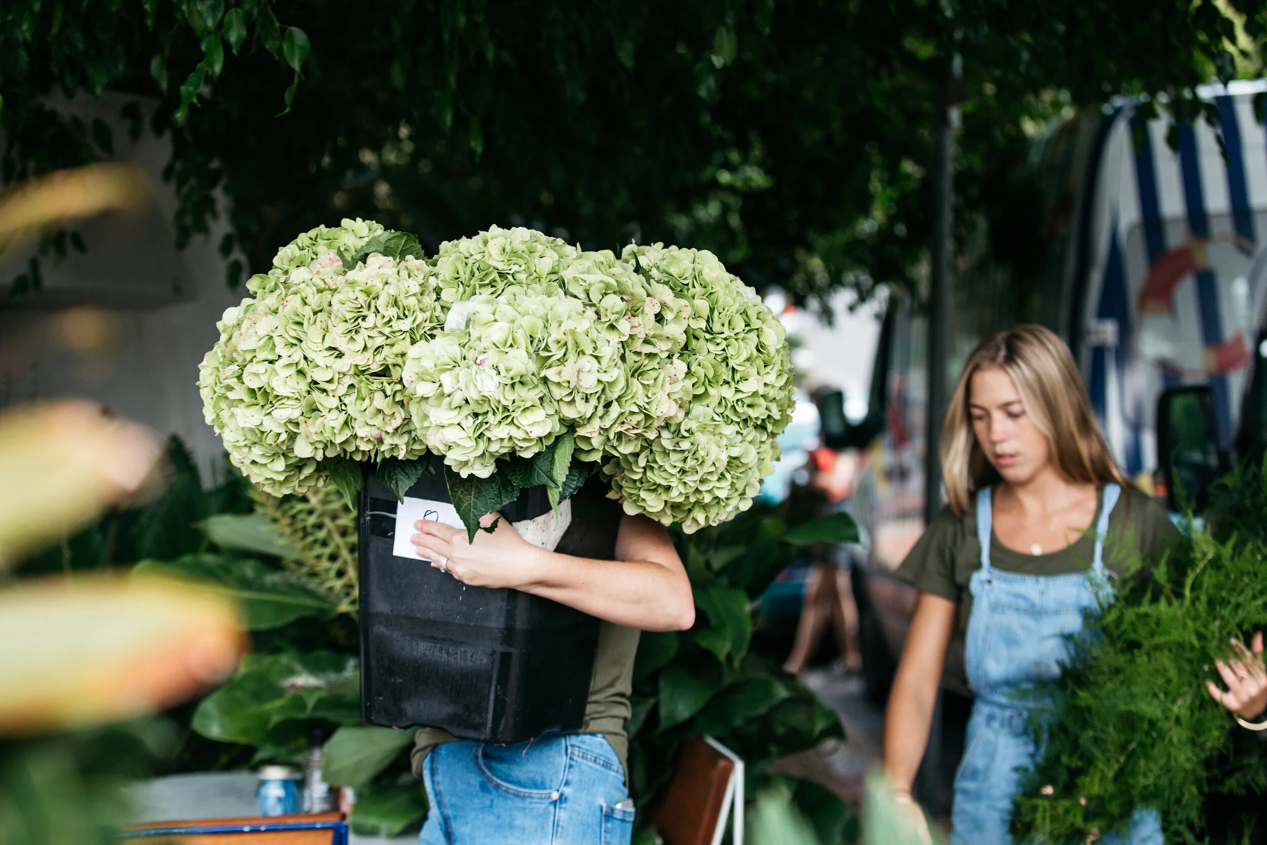 BH Flowers - WBD-13 (1).JPG