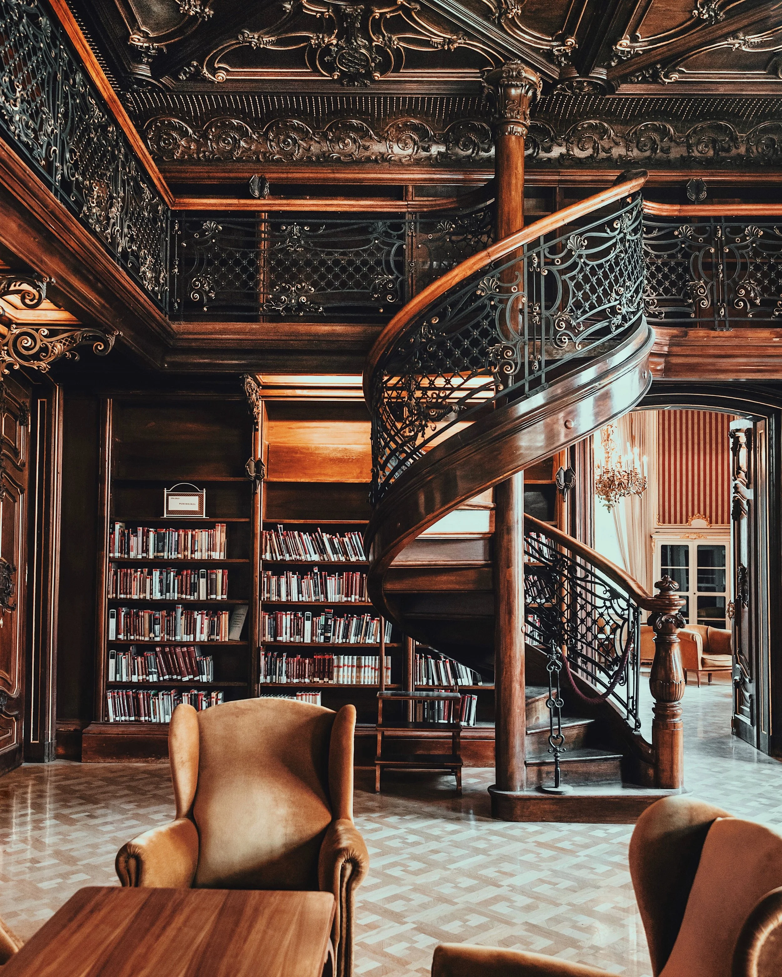 Beautiful Budapest Library