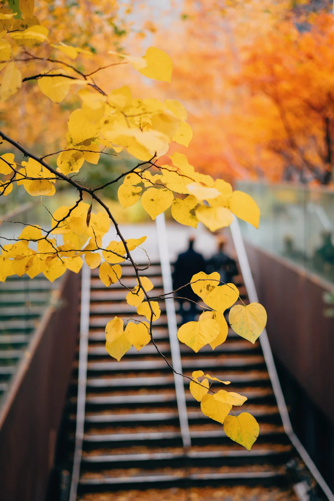 The High Line