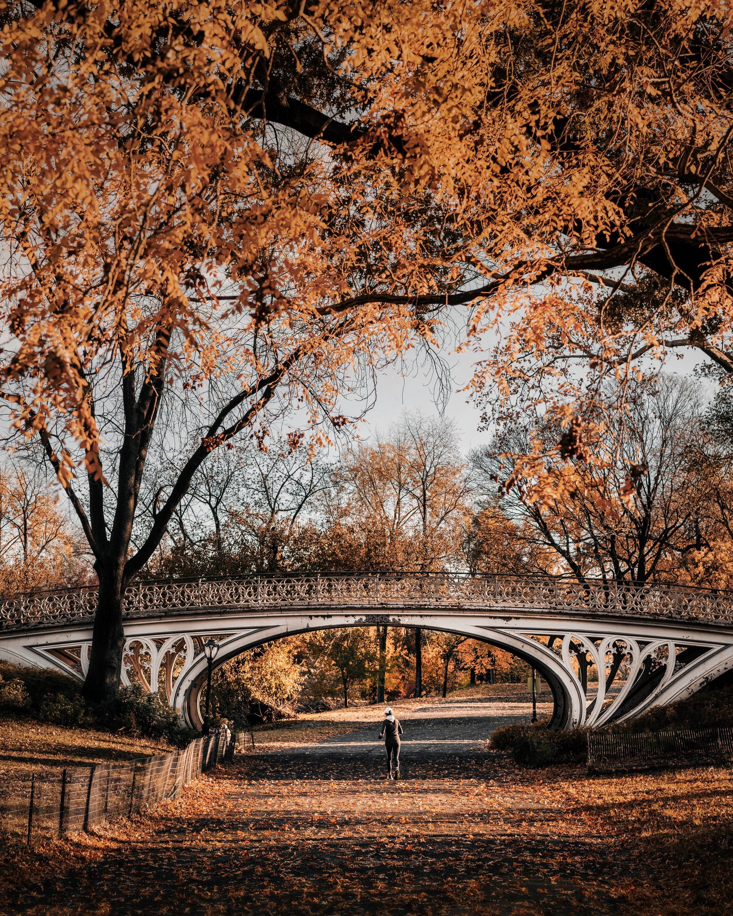 Central Park - Jacqueline Kennedy Onassis Reservoir