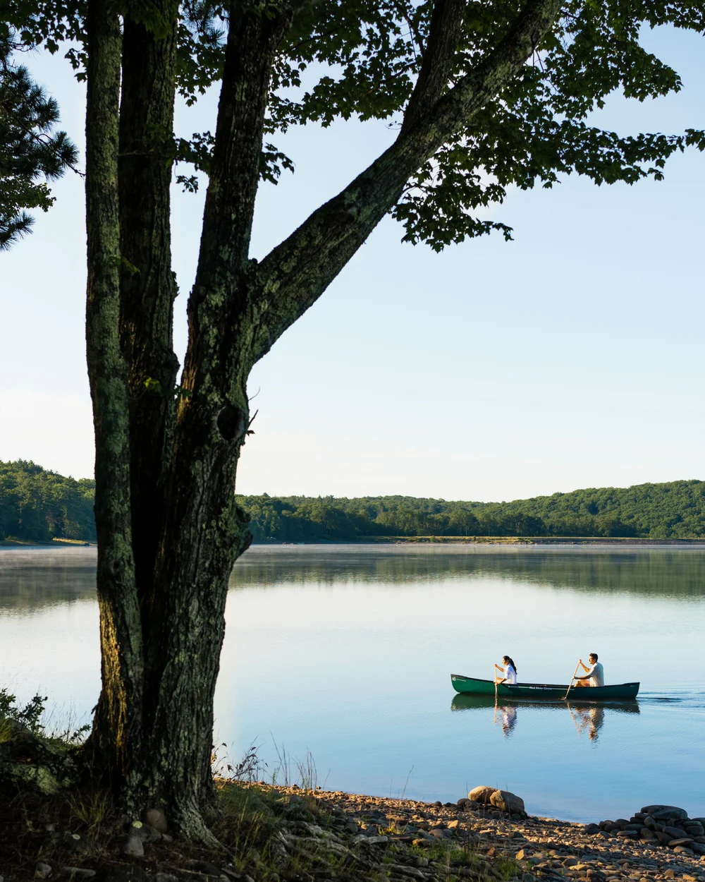 Chatwal Lodge New York Hotel — Joe Thomas