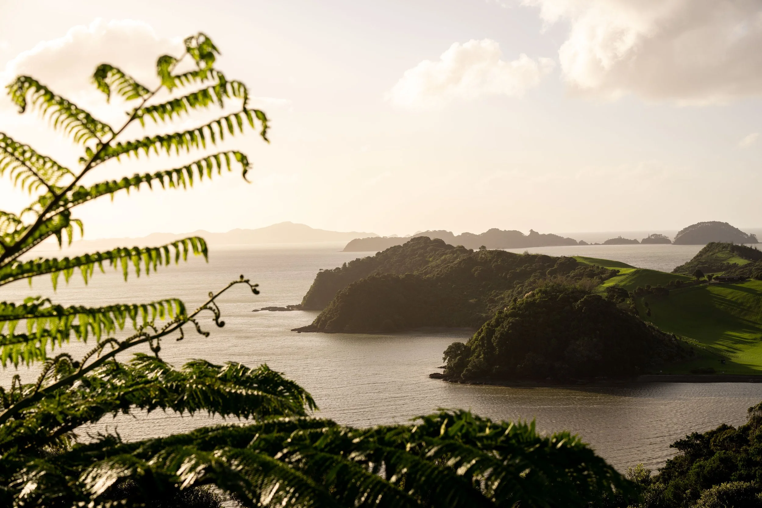 Paroa-Bay_winery_Joe-Thomas-New-Zealand-8.jpg