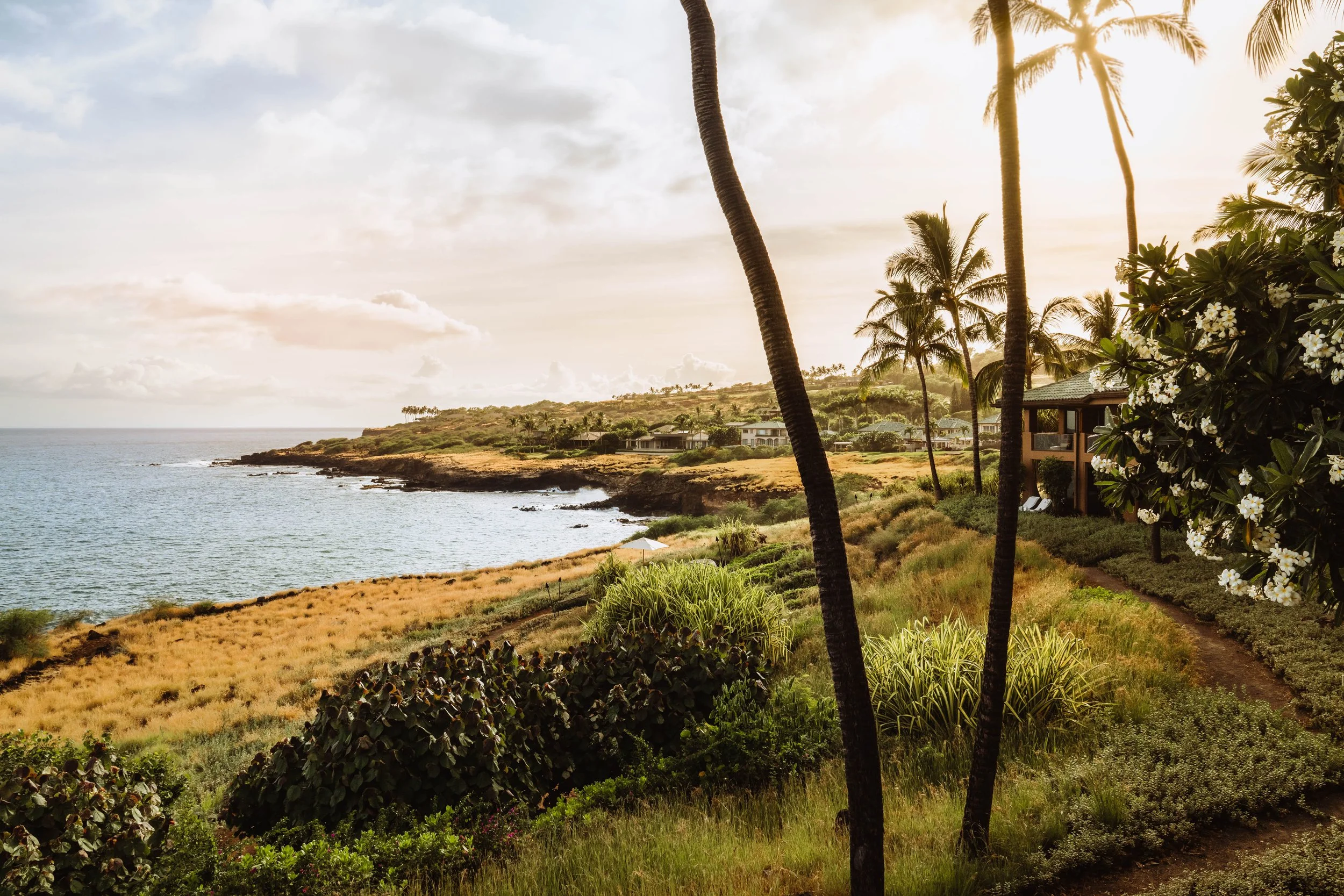 FourSeasons-Lanai-JoeThomas-23.jpg