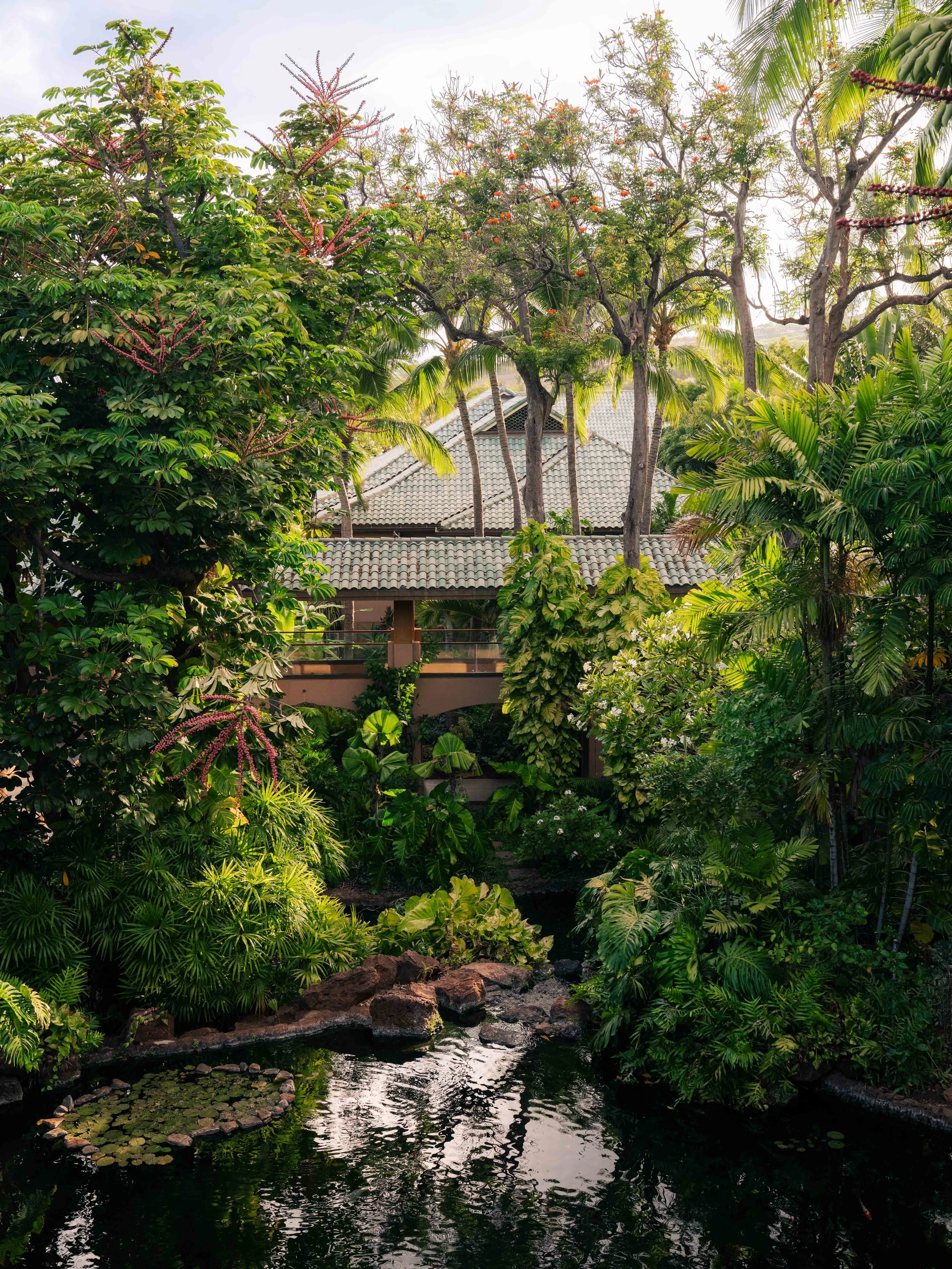 FourSeasons-Lanai-JoeThomas-26.jpg